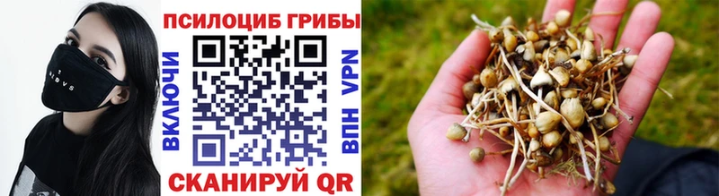 Галлюциногенные грибы прущие грибы  Купить закладки  Пересвет 